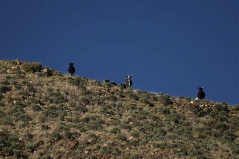  Karoo Eine Ode an die Stille und die Schönheit des Unbekannten